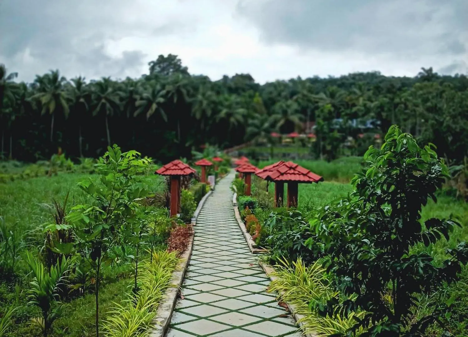 Casavie Paradise Villa Vaniyambalam